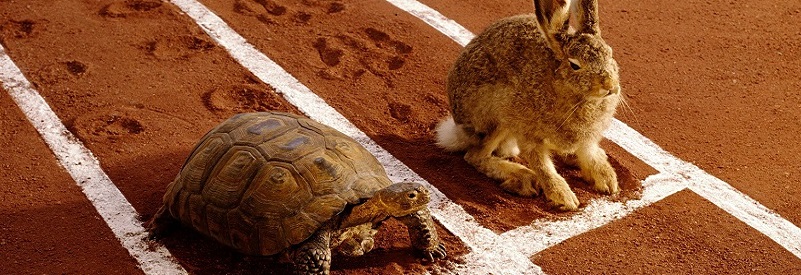 tortoise and hare